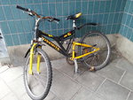 20120812_155435-sm.jpg