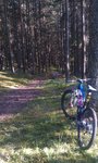 IMAG0664.jpg