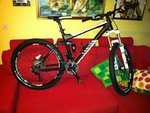 Cykel 004 - org.jpg