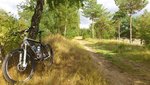 DSC_0030.jpg