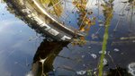 2012-10-07_08-39-57_806.jpg