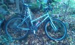 IMAG0610.jpg