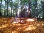 2012-10-07 13.37.09.jpg