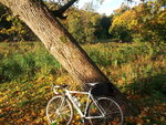 20121012_082051.jpg