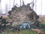DSC00131.JPG