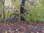 20121020_122008_HDR.jpg