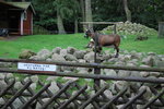 DSC_0012.JPG