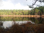 20121104_105546.jpg