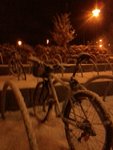 Foto1002.jpg