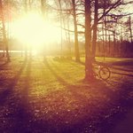 IMG_20121116_105255.jpg