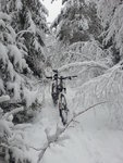 20121130_111639.jpg