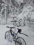 20121130_113816.jpg