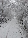 20121130_122246.jpg