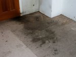 floor.jpg
