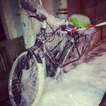 IMG_20121211_084837.jpg