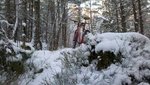 2012-12-14_14-27-42_509.jpg