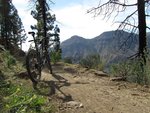 IMG_0964.jpg