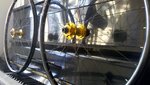 2013-01-16_12-14-02_335.jpg