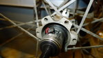 P1010091.JPG