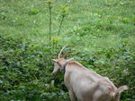 DSCN3175.JPG