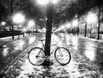 IMG_20130130_063839_0.jpg