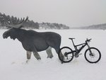 DSC_0395.jpg