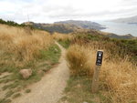DSCN0014.JPG