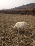 IMG_2310.JPG
