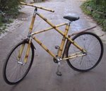 1633_BambooBicycle_2.jpg