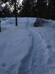 IMG_0015.jpg