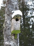 IMG_0016.jpg