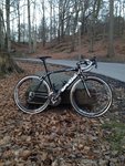 Pendling 1 mars 2013 002.JPG