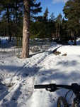 20130303_133407.jpg