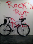 bild1.jpg