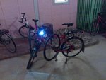 WP_000152.jpg