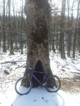 20130318_123719.jpg