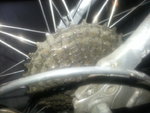 20130318_154947.jpg