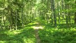 bödagrön.jpg