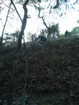 WP_000214.jpg