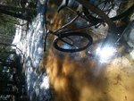 DSC_0016.JPG