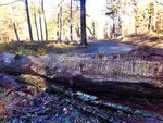 IMG_20130420_084011_1.jpg