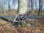 CameraZOOM-20130417103936543.jpg
