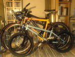 DSC00037.JPG