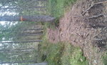 20130504_140832.jpg