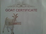 20130516_191001.jpg