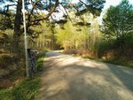 WP_000251.jpg