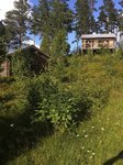 IMG_0699.jpg
