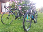 20130530_193425.jpg