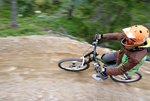 IMG_8010.jpg