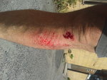 20130816_161220.jpg